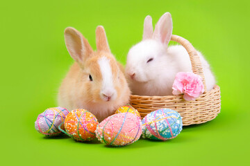 Easter bunny and eggs concept.