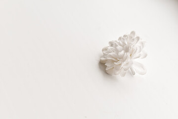 white rose petals
