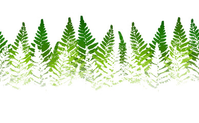 Horizontal seamless border with fern leaves paint prints isolated on white background 2