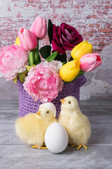 funny yellow chickens in a shell Easter card. bright rainbow colors with a copy of the place for the text.