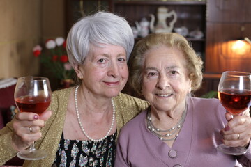 Senior female friends enjoying a cup of wine
