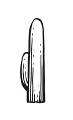 Large prickly cactus. An exotic southern plant from the desert. Outline sketch. Hand drawing is isolated on a white background. Vector