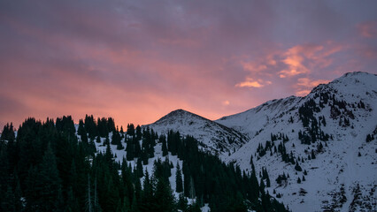 A mountain peak in the light of a pink dawn