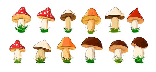 Set of different colored mushrooms in cartoon style. Objects isolated on white background. Vector