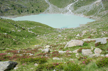 Gera Lake. Italian Alpine Landscape