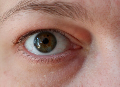 Close-up of brown green human eye with eyebrow looking at the camera