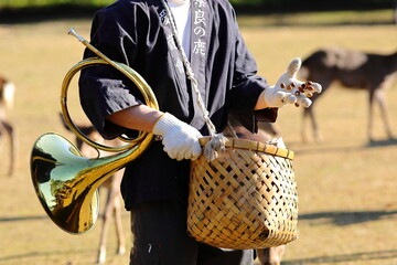 奈良公園で行われている鹿寄せ