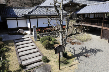 滋賀県大津市・総本山西教寺