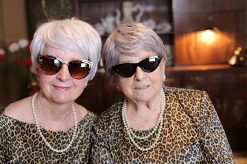 Fraternal twins wearing animal print matching outfits - obrazy, fototapety, plakaty