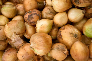 onions background. A pile of red onions as a background. Full Frame Shot Of Purple Onions. Fresh...
