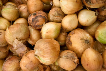 onions background. A pile of red onions as a background. Full Frame Shot Of Purple Onions. Fresh whole purple onions. 