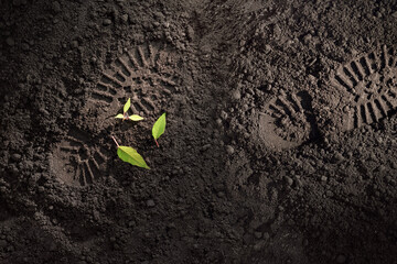 soldier boot prints on the ground and broken green plant sprout, military conflict and war concept,...