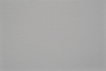 Painting canvas. A uniform white and gray background with a pronounced texture.