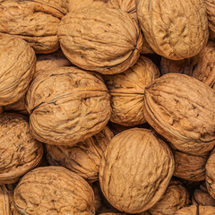 Walnuts Background. Fresh walnuts  as a wallpaper, poster