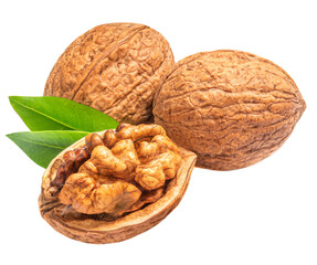 Walnuts Isolated. Fresh walnut  with green leaves on white background.