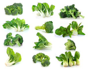 Broccoli and Bok choy vegetable on white background