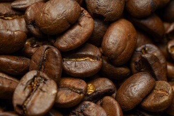 コーヒー豆