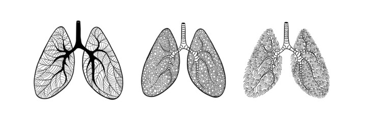 Set of cute and creative hand drawn lungs isolated on white background. Vector illustration.