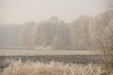 Misty (foggy) morning and sunrise in Poland