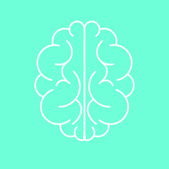 outline-drawn human brain. simplified view of the brain. vector illustration, eps 10.