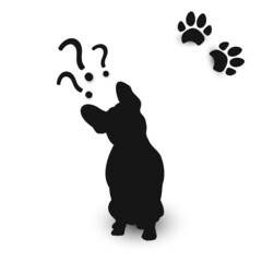 Silhouette of a dog with a tilted head, dog tracks and question marks. French Bulldog.