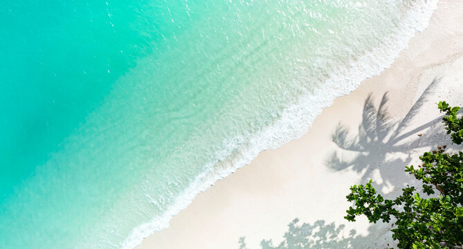 The tropical  summer white sand beach with a water wave background -Summer season image