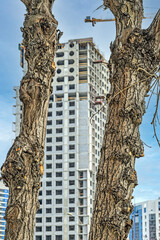 Fototapety na wymiar - Fototapeta24.pl