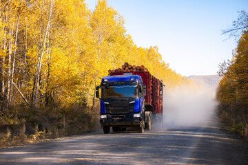 Blue logging truck on forest road in autumn