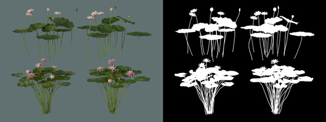 various types of trees and flowers
