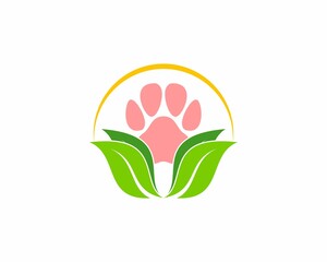 Nature green leaves with pet paws behind