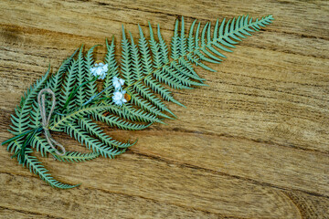 しだの葉と木目、プリザーブドフラワー、ドライフラワー