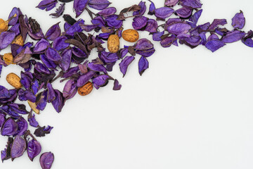 紫のラベンダーの花びら　白背景　