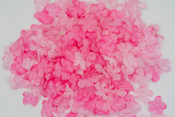 さくらの花びら