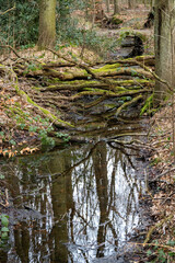little river in the winter