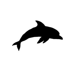 Fototapeta premium Dolphin silhouette jumping playful aquatic animal doodle vector Illustration.