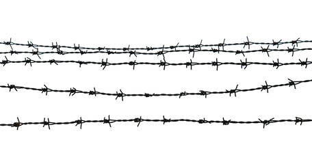 Barbed wire on white background