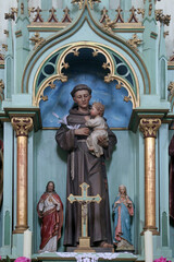Altar of St. Anthony of Padua in the parish church of Saints Simon and Jude in Ciglena, Croatia