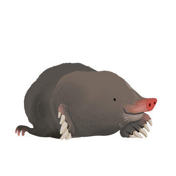 illustration of mole isolated in white background