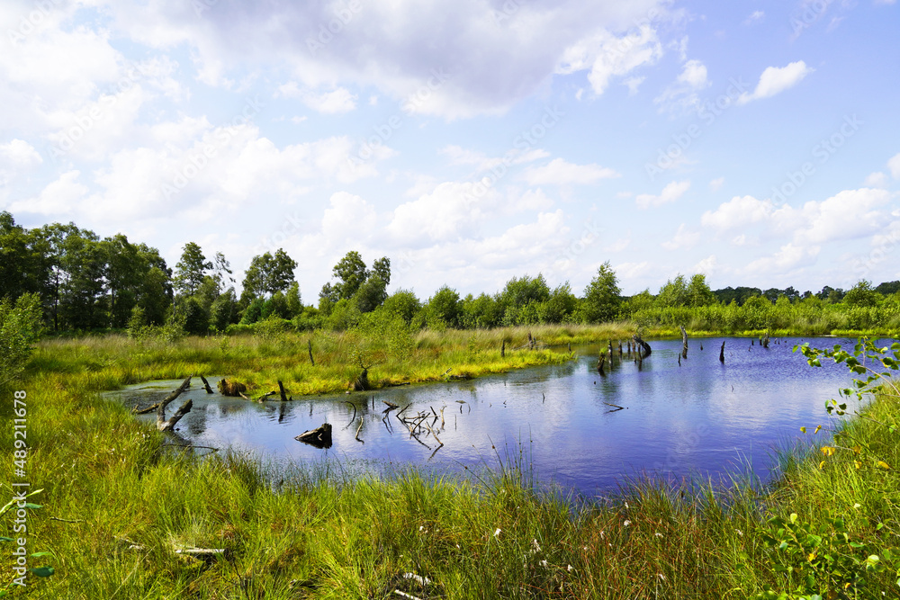 Poster Beautiful shot of a bog in Diepholzer Moor nature reserve near Diepholz