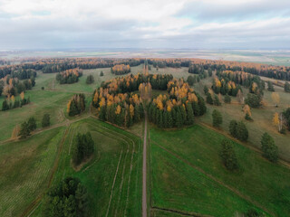 Fototapeta na wymiar Aerial view of nap park in pavlovsk, golden autumn, tree tops from a bird's eye view, golden crowns of trees, path in the forest road in a beautiful autumn field.