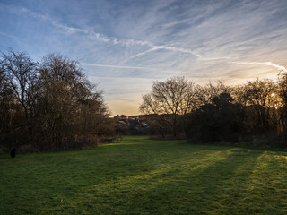 sunset in the forest