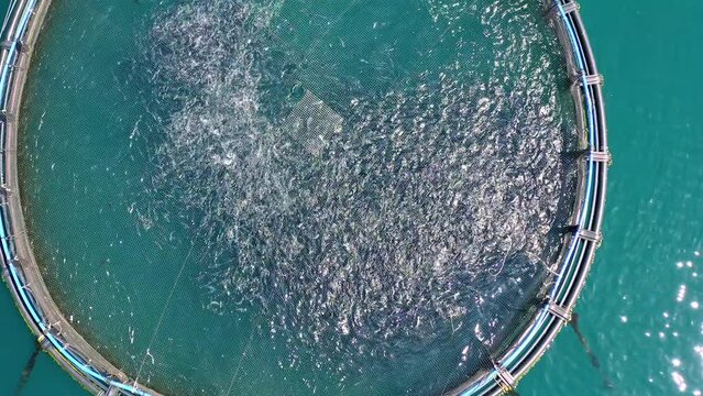 Sea water aquaculture aerial view. Fish farms in Greece