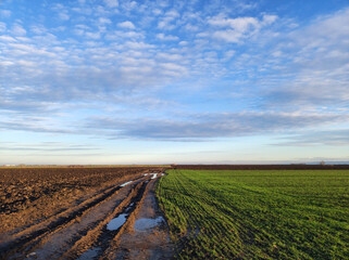 Fototapeta na wymiar plowed fields in the winter without snow in Vojvodina