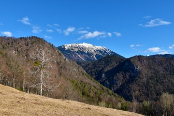 View of mountain Begunjscica in Karavanke mountain range in Gorenjska, Slovenia