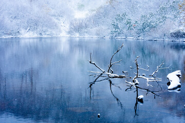 大雪高原温泉沼めぐりコースの雪景色