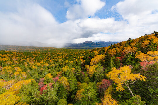 「三国峠」の画像 750 件の Stock 写真、ベクターおよびビデオ Adobe Stock