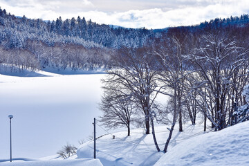 Fototapeta na wymiar 北海道の自然・冬・雪