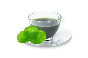 Glass cup of Gotu Kola juice tea with green leaves (Asiatic pennywort, Centella asiatica) isolated on white background.