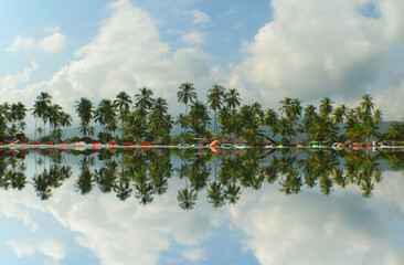paradise island , beach , palms sand , caribbean sea