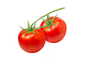 Two tomatoes on branch isolated on white background.